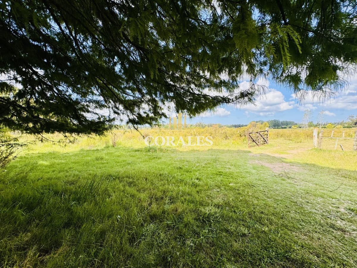 Venta Chacra con Casa 4 dormitorios Camino a la Pataia