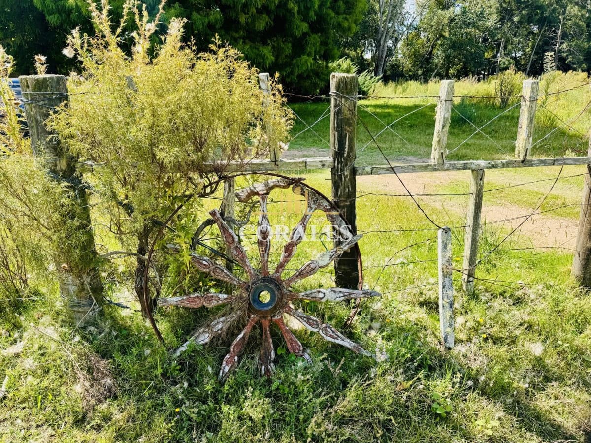 Venta Chacra con Casa 4 dormitorios Camino a la Pataia