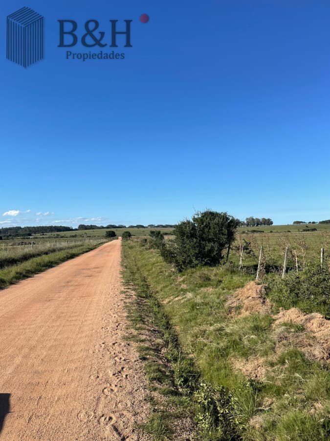 Chacra de 8 hectárea y media a la venta - José Ignacio