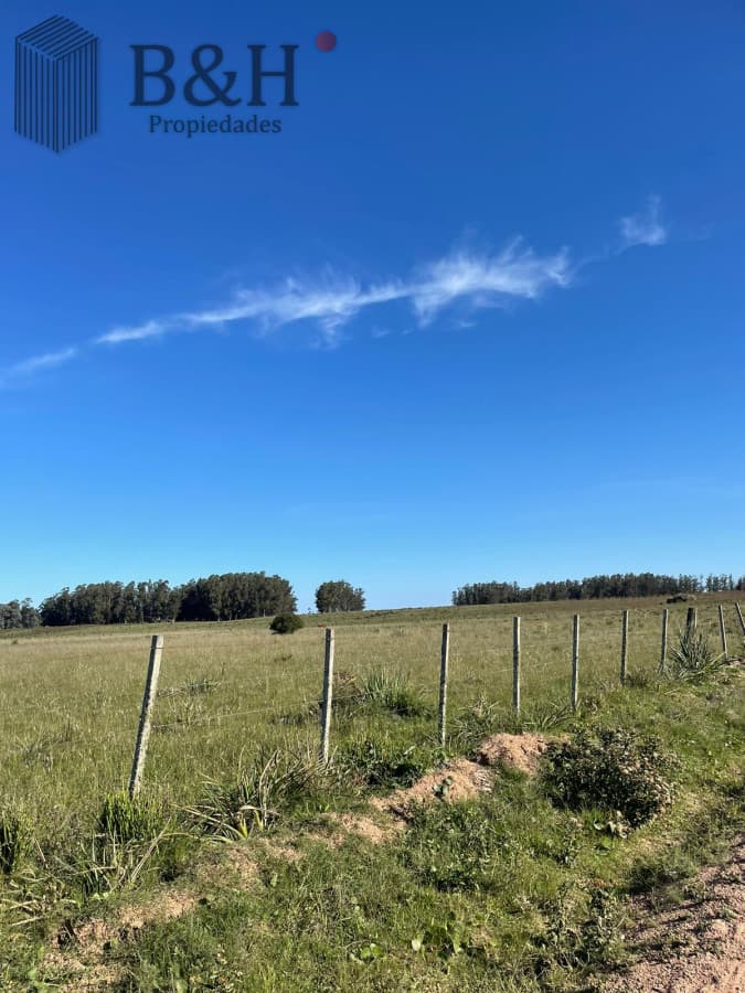 Chacra de 8 hectárea y media a la venta - José Ignacio