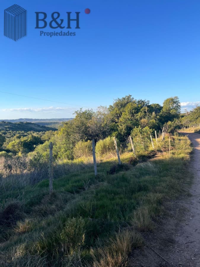Chacra en ruta 39 antes de Aigua