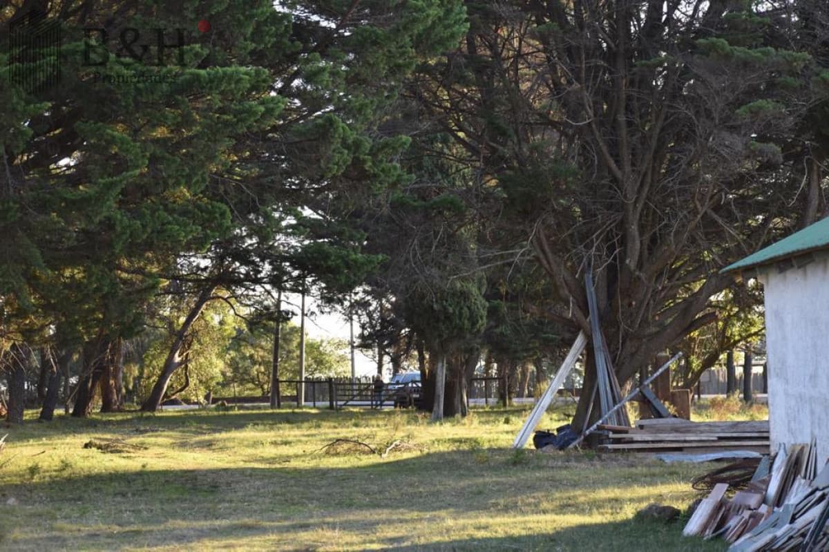 Chacra de 13 hectáreas a la venta en Manantiales