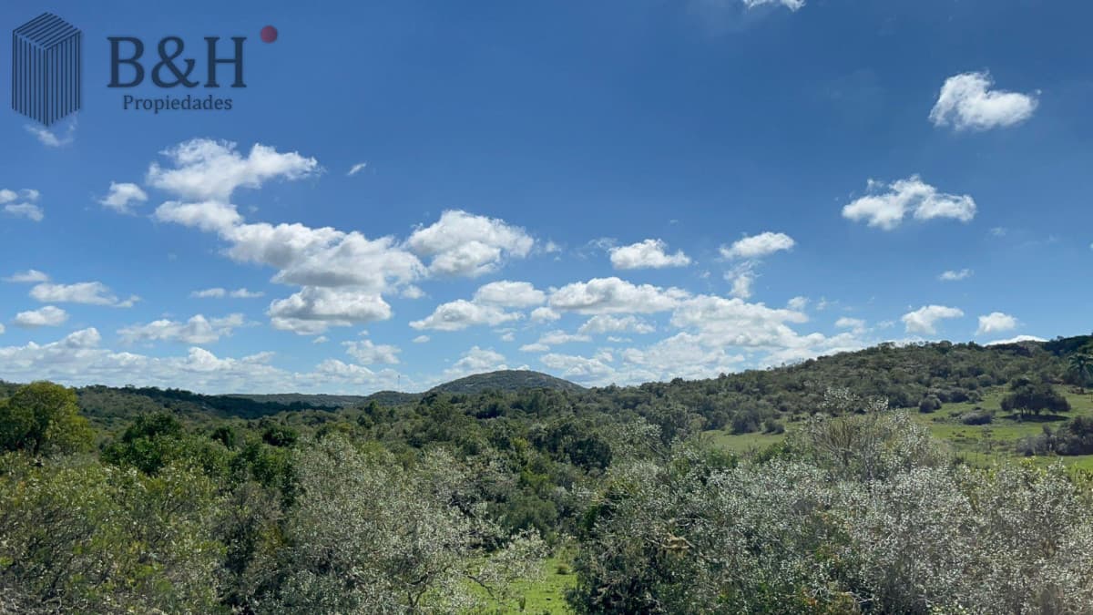 Chacra en ruta 39
