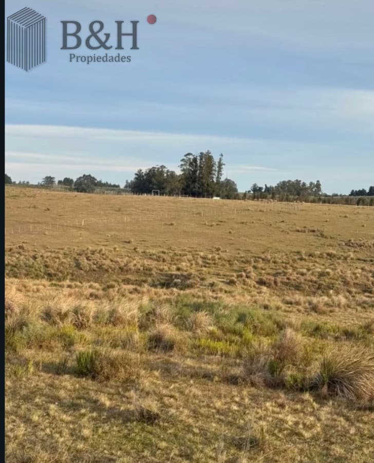 Chacra en Partido Norte