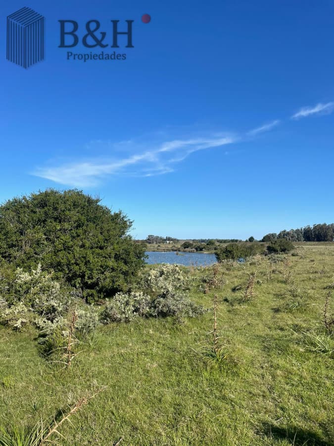 Chacra de 8 hectárea y media a la venta - José Ignacio