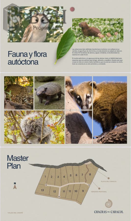 Chacras de Caracol