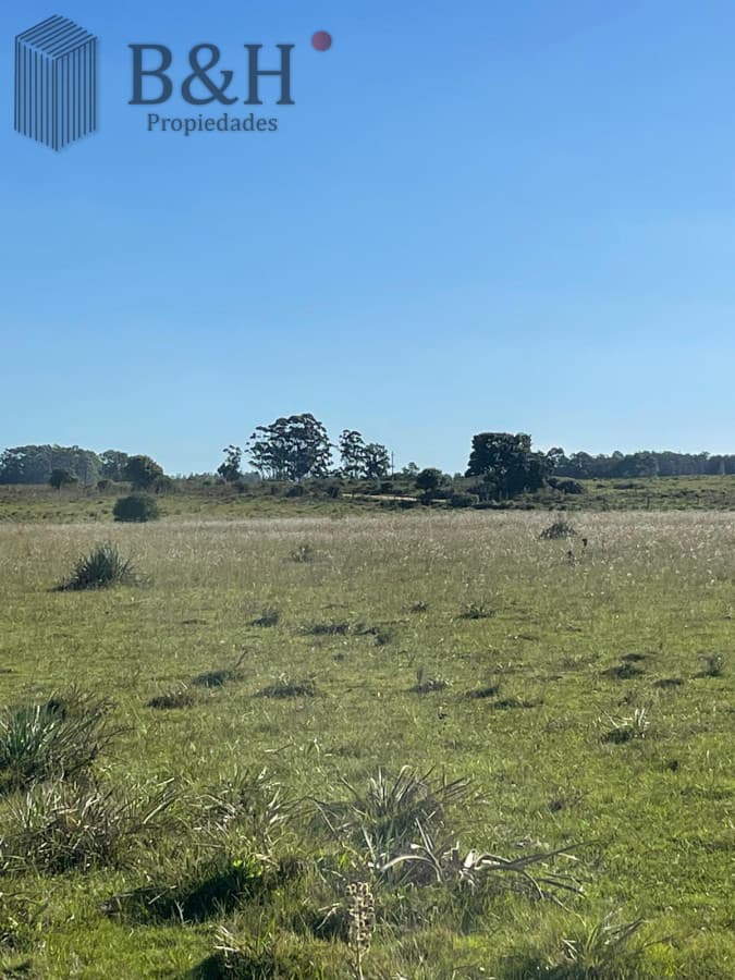 Chacra de 8 hectárea y media a la venta - José Ignacio