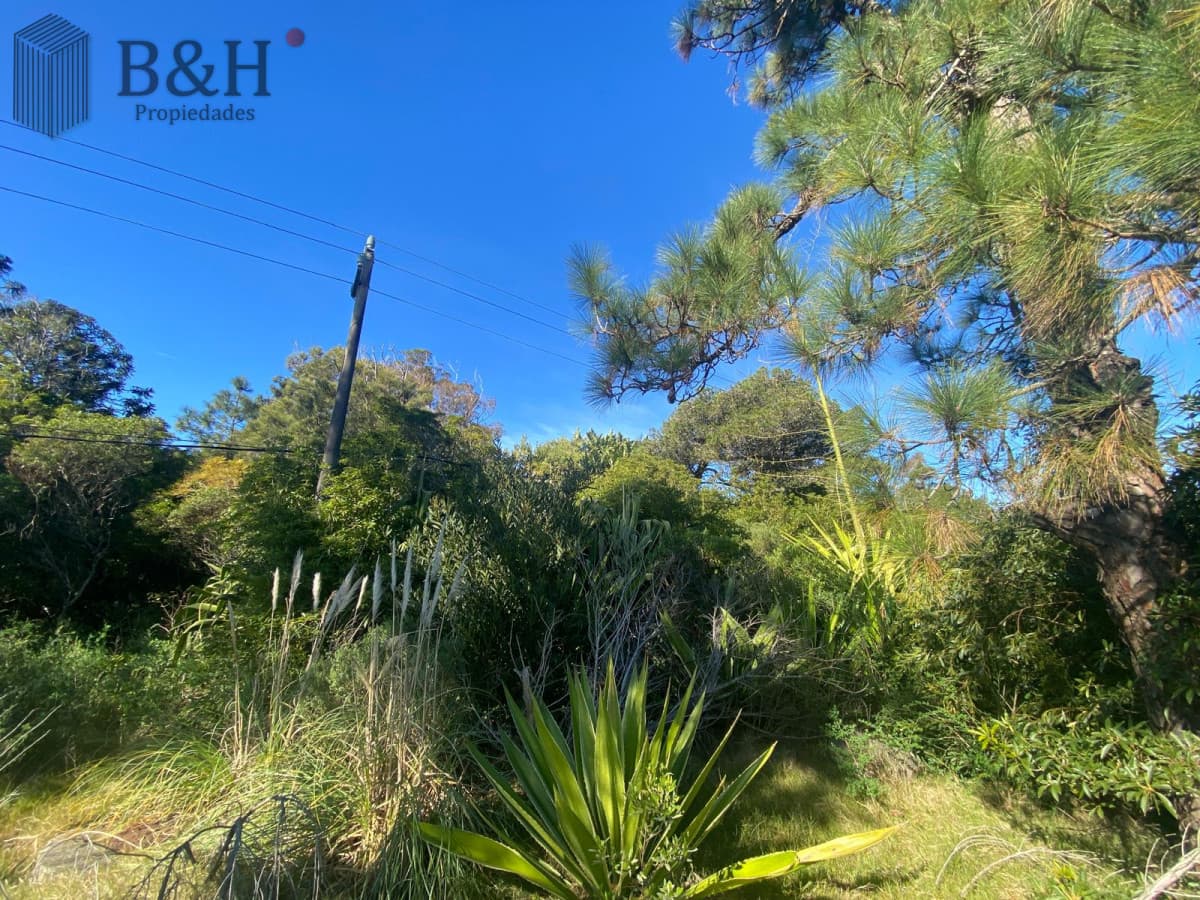 Terreno a la venta - Punta Ballena