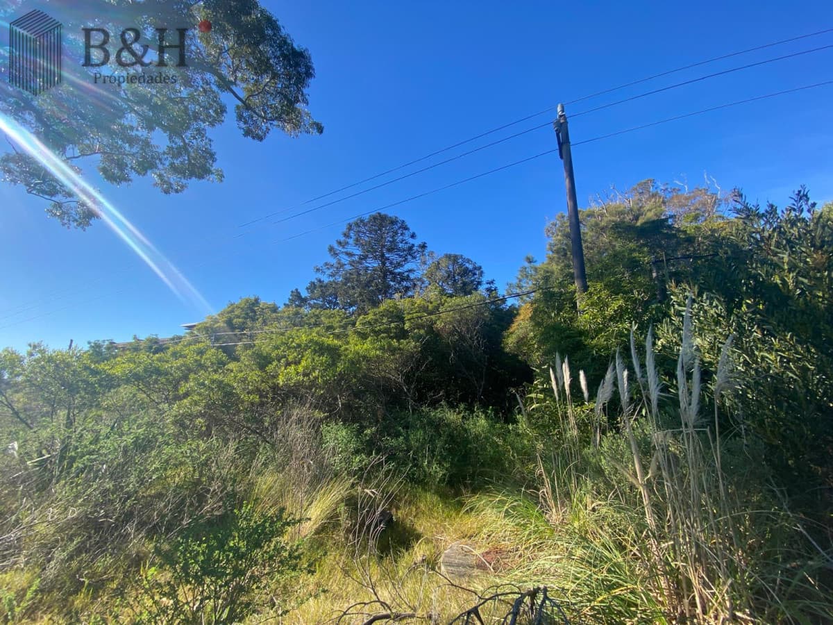 Terreno a la venta - Punta Ballena
