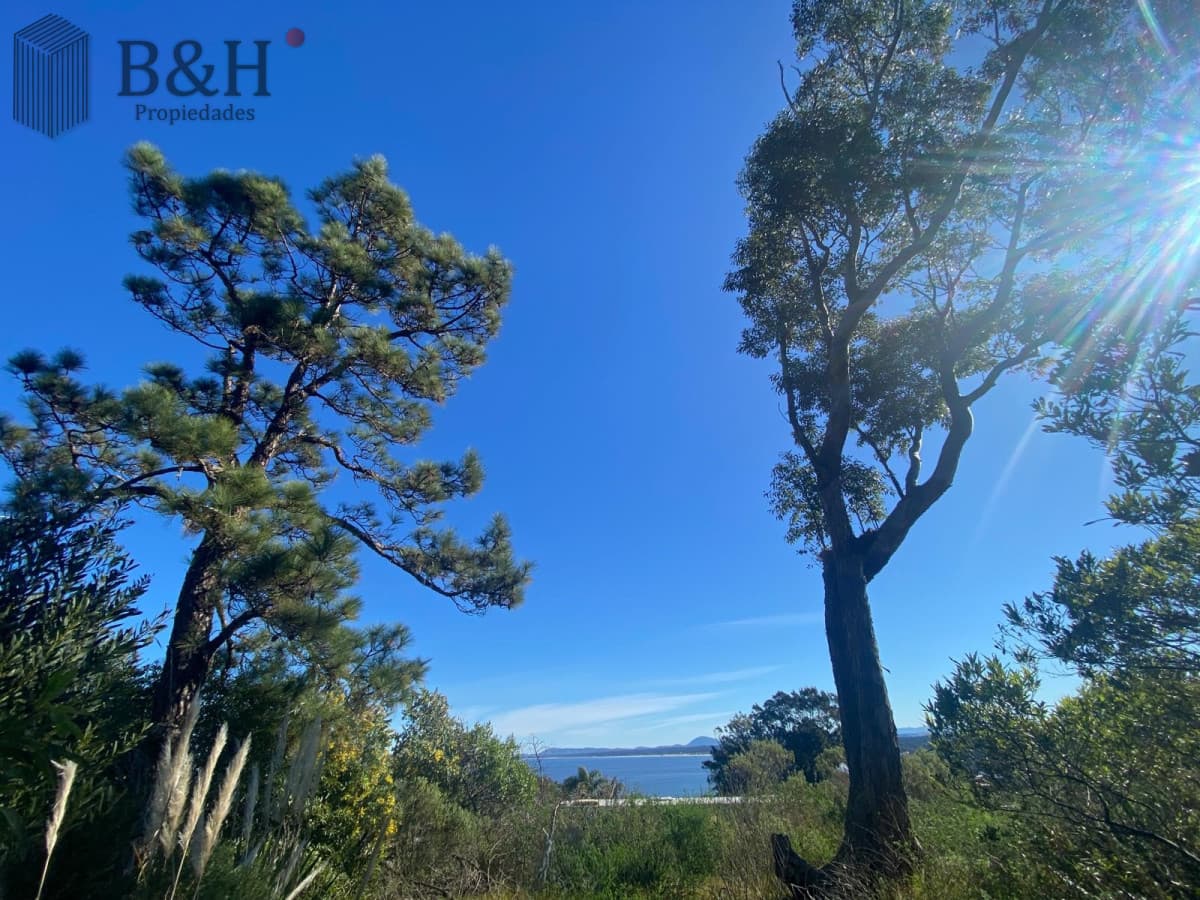 Terreno a la venta - Punta Ballena