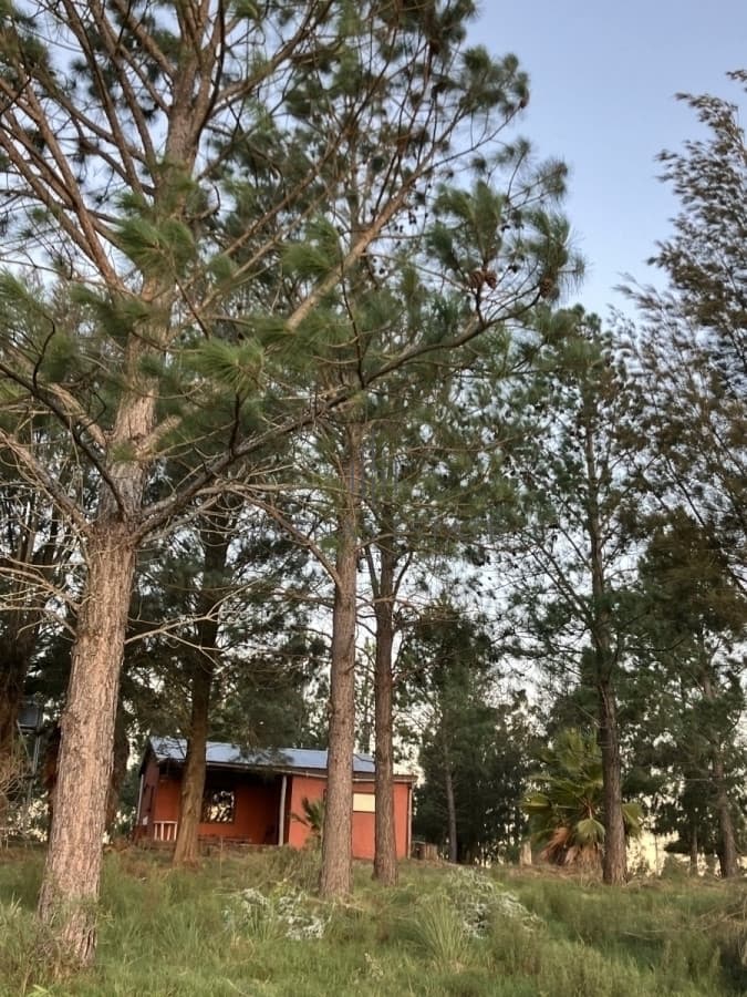 Chacra ID.2206 - Chacra con Casa de 30 ha en Sierra de los Caracoles