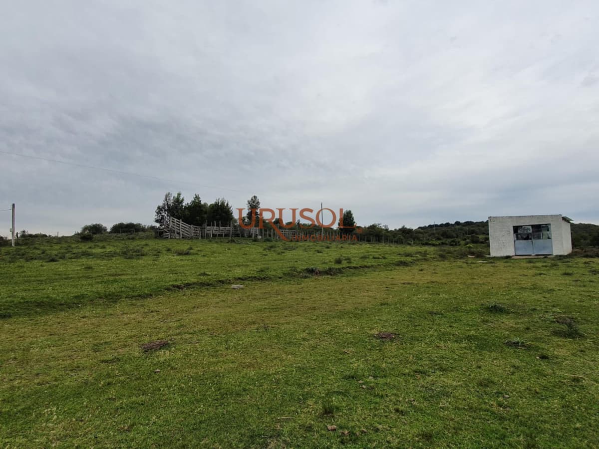 Excelente campo en venta Rut 109   -