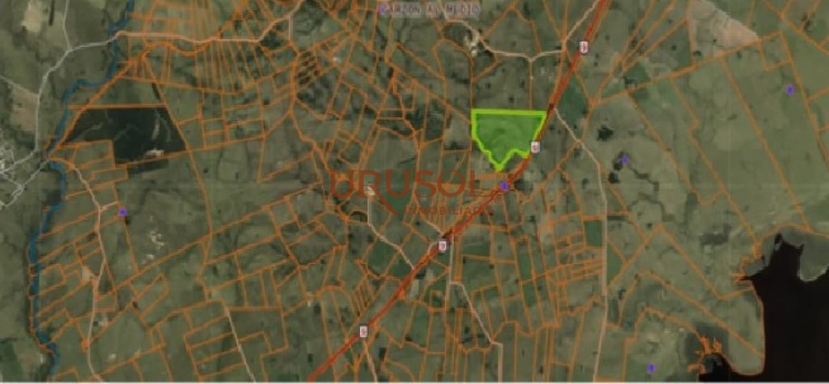 Campo Agricola-Ganadero en Rocha   -