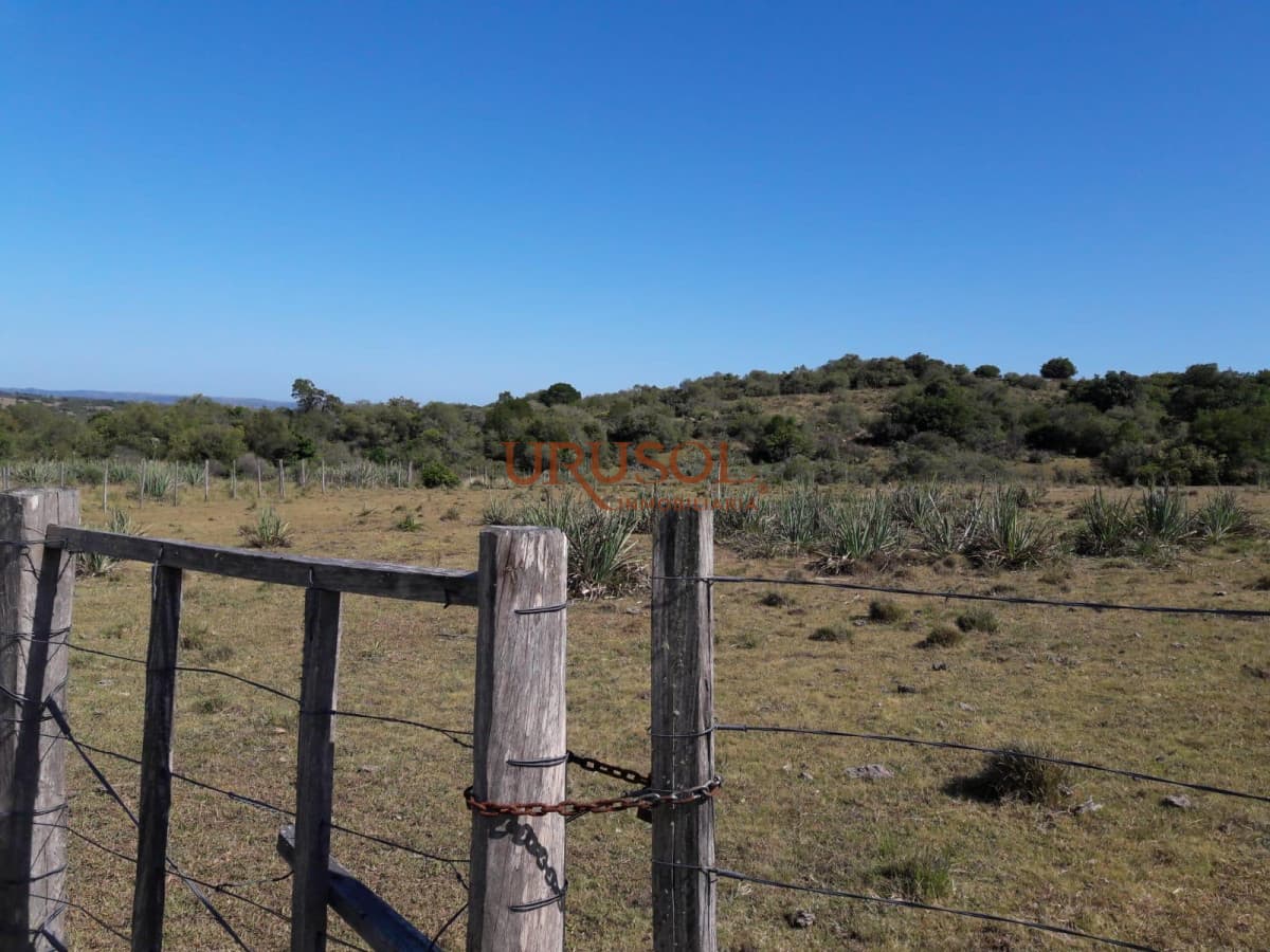 Excelente campo en venta Rut 109   -