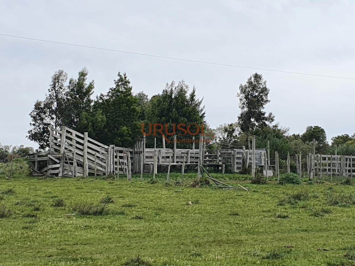 Excelente campo en venta Rut 109   -