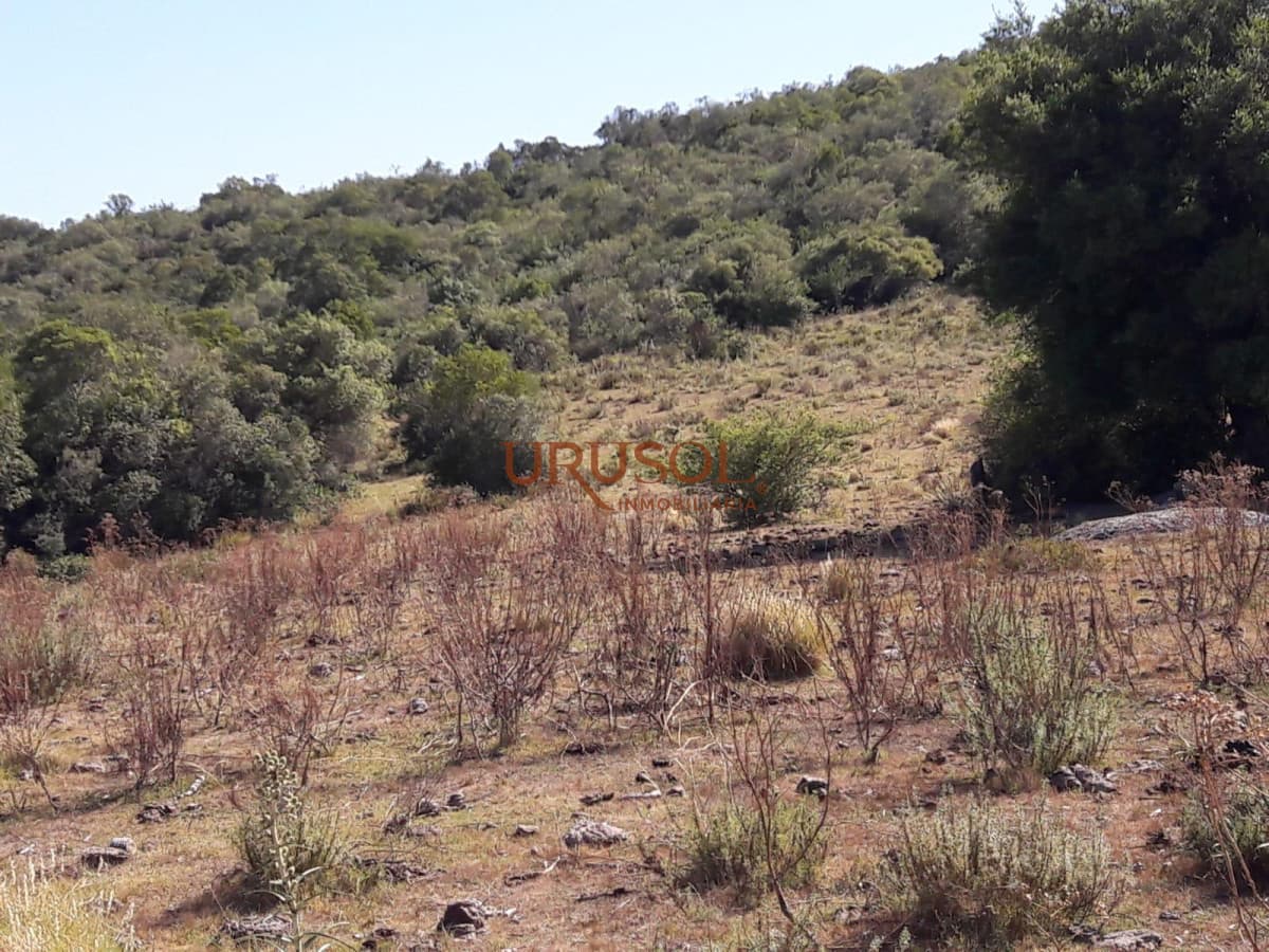 Excelente campo en venta Rut 109   -
