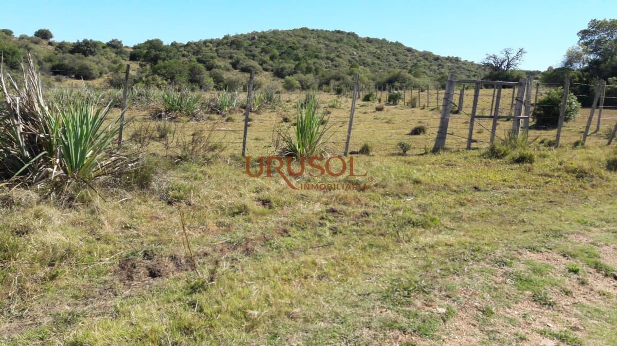 Excelente campo en venta Rut 109   -