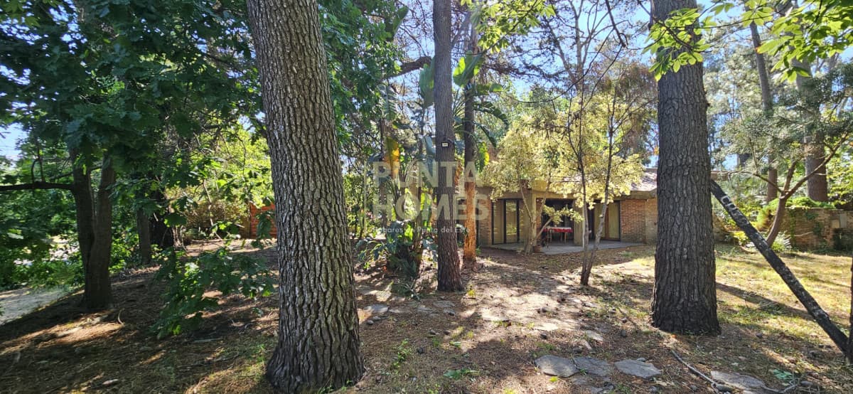 Punta Homes Inmobiliaria Casa ID.3837 - Venta de Casa de 4 dormitorios sobre Pedragosa Sierra, Punta del Este.