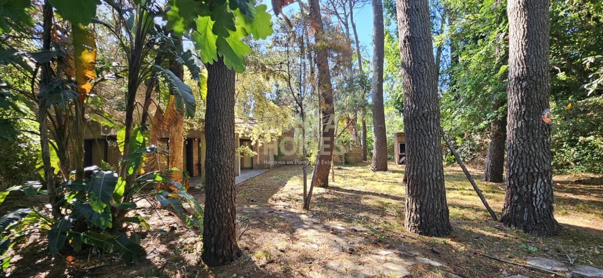 Punta Homes Inmobiliaria Casa ID.3837 - Venta de Casa de 4 dormitorios sobre Pedragosa Sierra, Punta del Este.