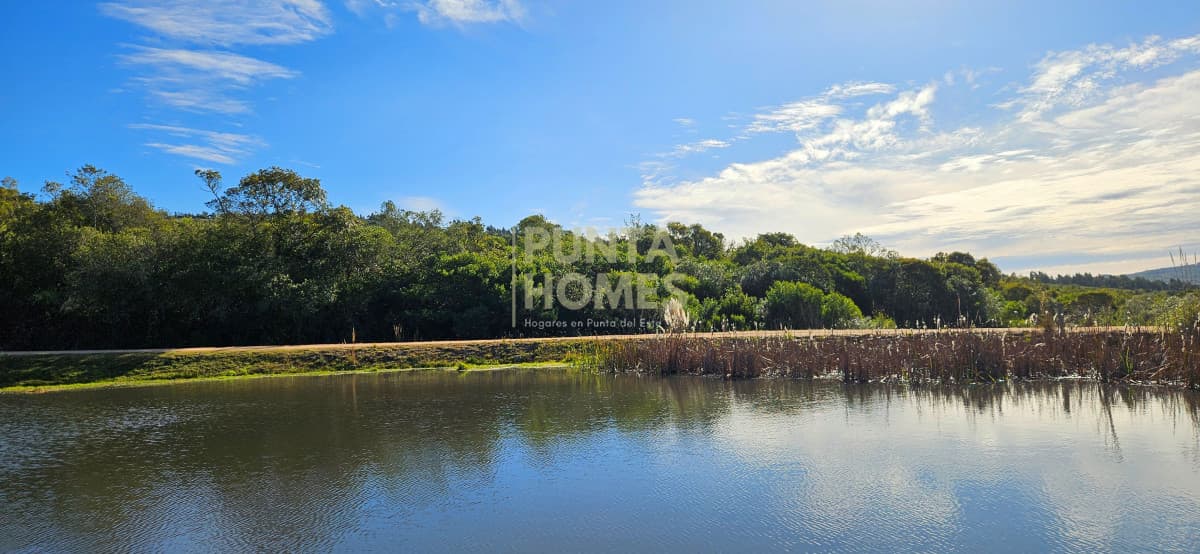 Punta Homes Inmobiliaria Chacra ID.3871 - Venta de chacra de 6 has en Barrio Privado en Pueblo Edén, Punta del Este.