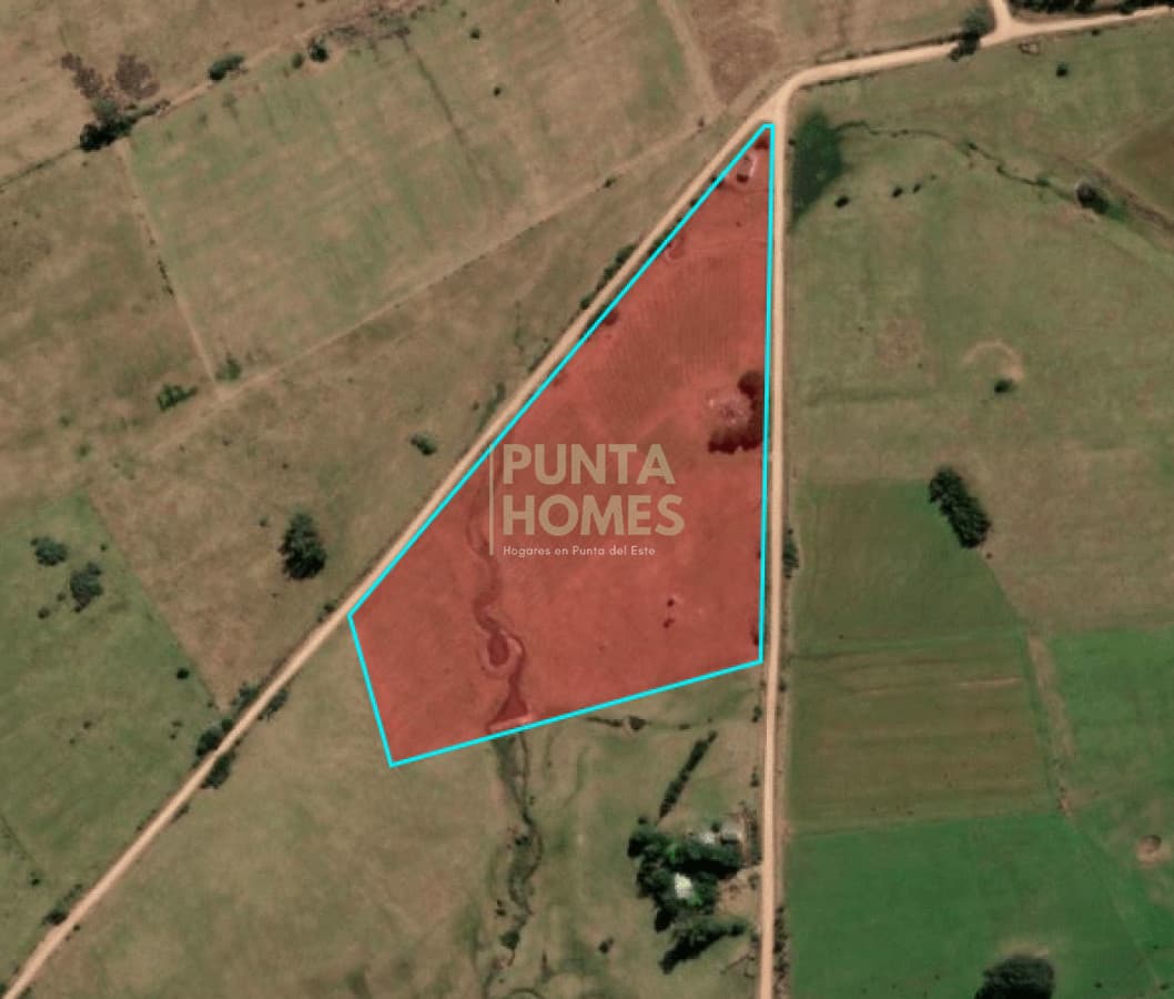 Punta Homes Inmobiliaria Chacra ID.3859 - Venta chacra de 5 hectáreas  por José Ignacio