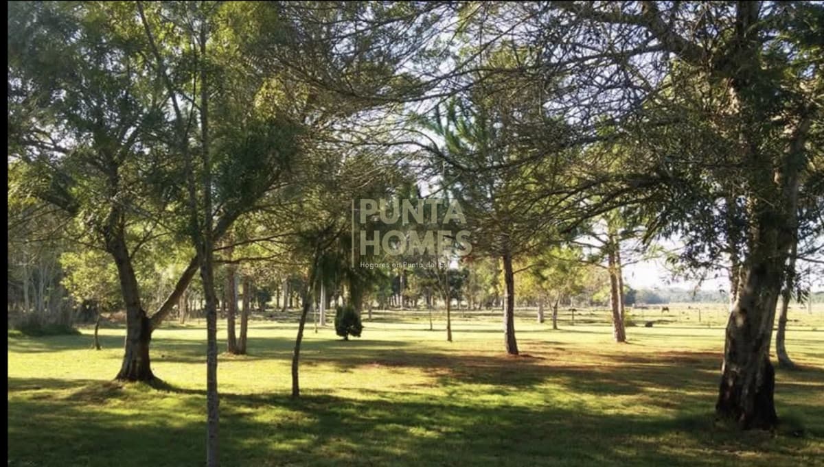 Punta Homes Inmobiliaria Chacra ID.3958 - Estatégica chacra en la entrada de Punta del Diablo