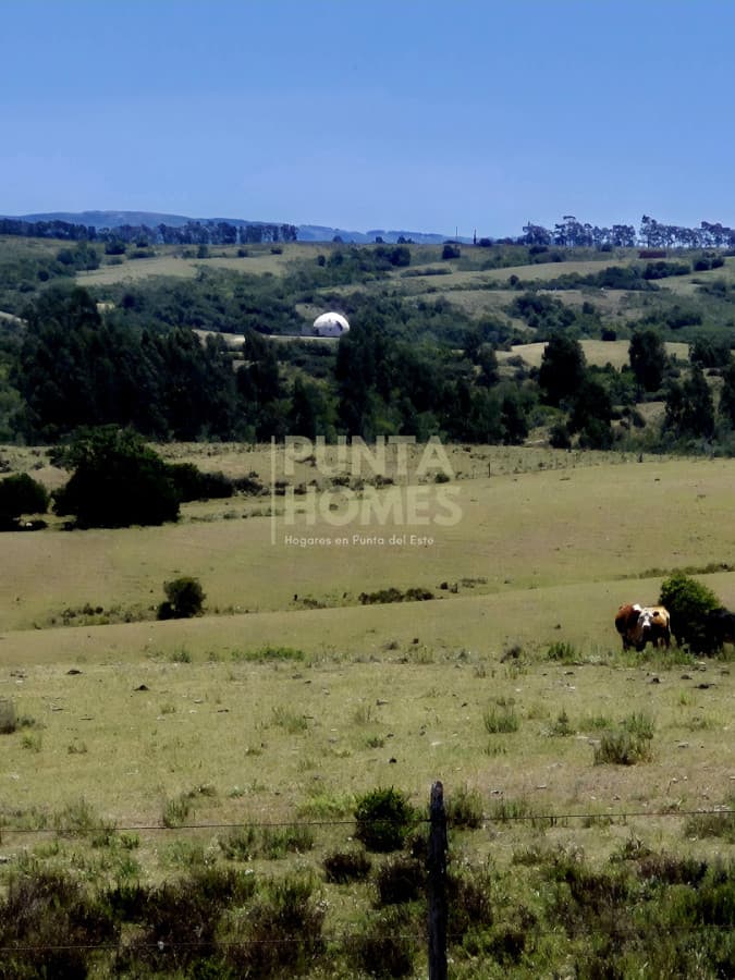 Punta Homes Inmobiliaria Chacra ID.3931 - Venta de Chacra de 5 hectáreas en Zona Pueblo Garzón