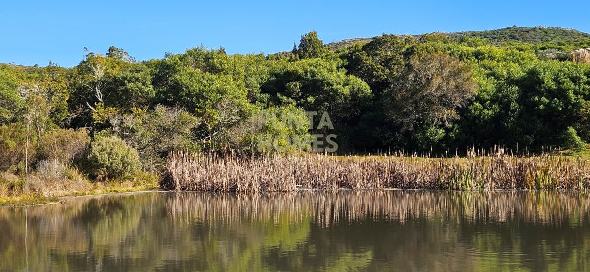 Punta Homes Inmobiliaria Chacra ID.3871 - Venta de chacra de 6 has en Barrio Privado en Pueblo Edén, Punta del Este.