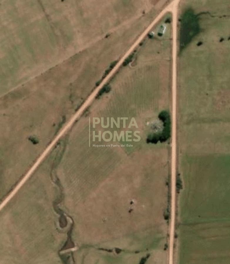 Punta Homes Inmobiliaria Chacra ID.3859 - Venta chacra de 5 hectáreas  por José Ignacio