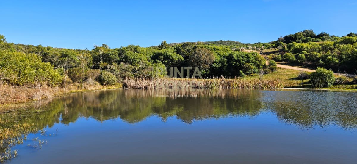 Punta Homes Inmobiliaria Chacra ID.3871 - Venta de chacra de 6 has en Barrio Privado en Pueblo Edén, Punta del Este.