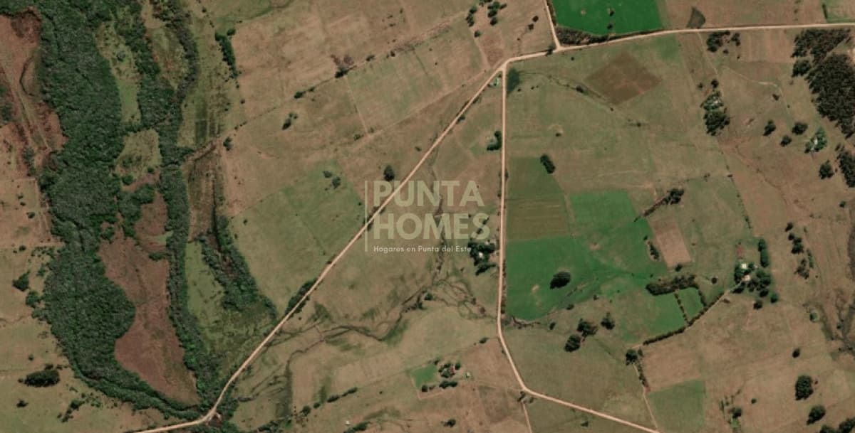 Punta Homes Inmobiliaria Chacra ID.3859 - Venta chacra de 5 hectáreas  por José Ignacio