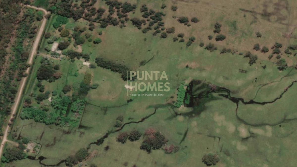Punta Homes Inmobiliaria Chacra ID.3958 - Estatégica chacra en la entrada de Punta del Diablo
