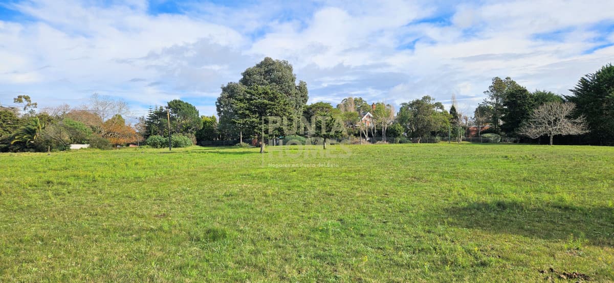 Punta Homes Inmobiliaria Terreno ID.3933 - Venta de 3 terrenos en Pedragosa Sierra, Punta del Este