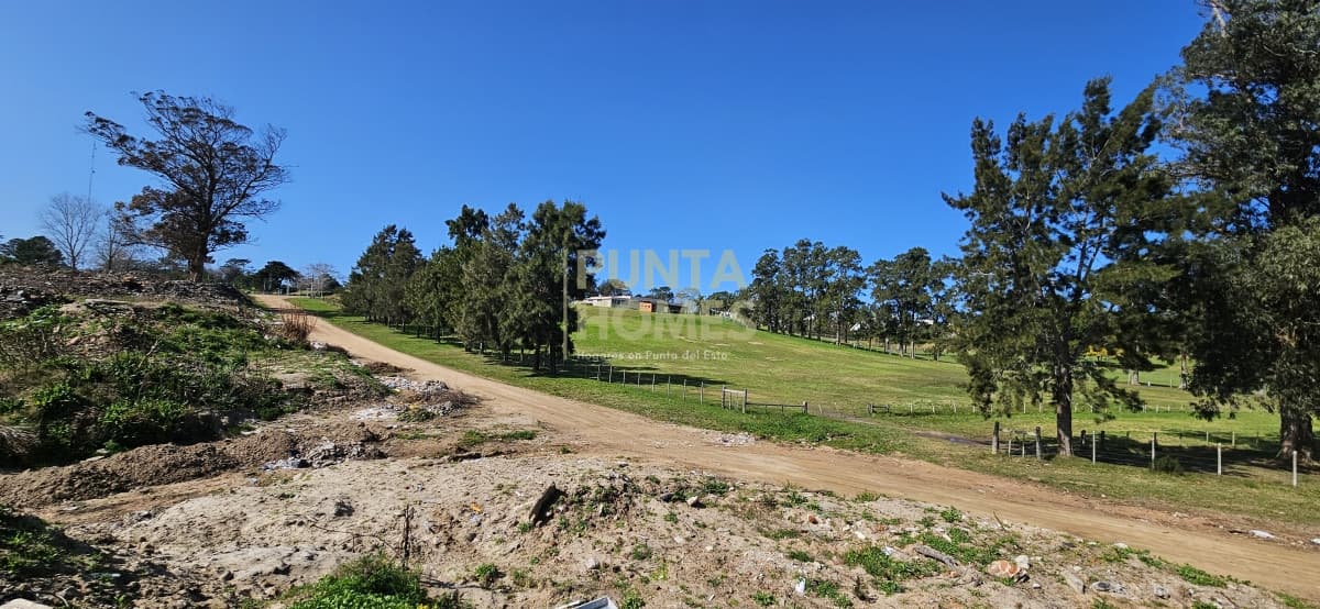 Punta Homes Inmobiliaria Terreno ID.3793 - - Para Proyecto - Venta de Terrenos frente a Club de Golf de Punta del Este.