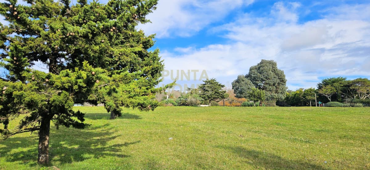 Punta Homes Inmobiliaria Terreno ID.3933 - Venta de 3 terrenos en Pedragosa Sierra, Punta del Este