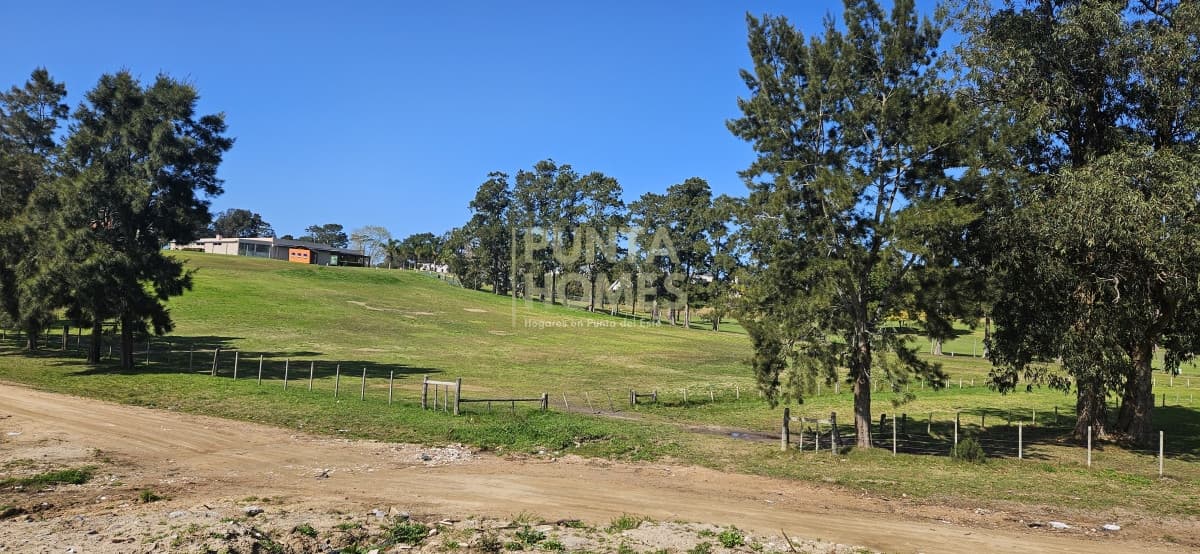Punta Homes Inmobiliaria Terreno ID.3793 - - Para Proyecto - Venta de Terrenos frente a Club de Golf de Punta del Este.