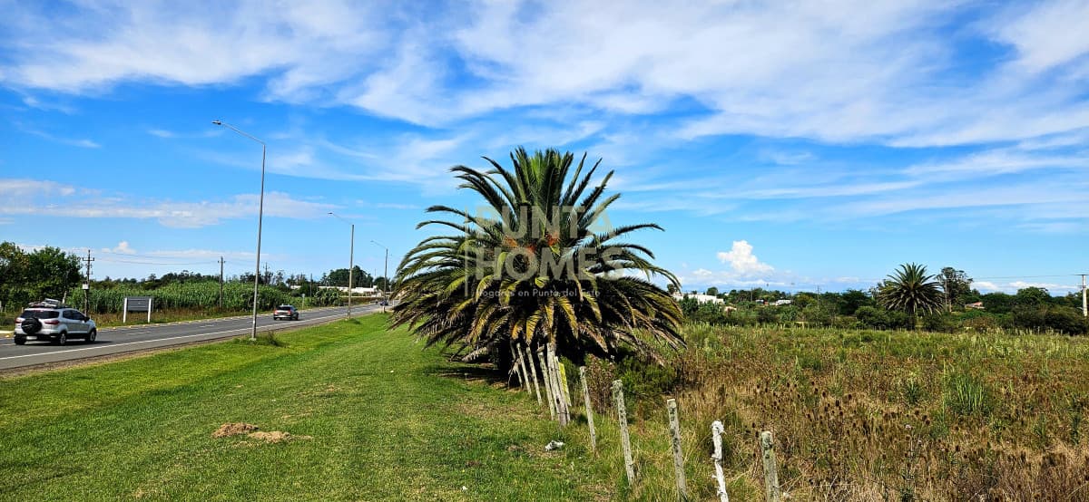 Punta Homes Inmobiliaria Terreno ID.3823 - Venta de Terreno de 10.800 m² en Rocha  - Ubicación Estratégica en Ruta 9