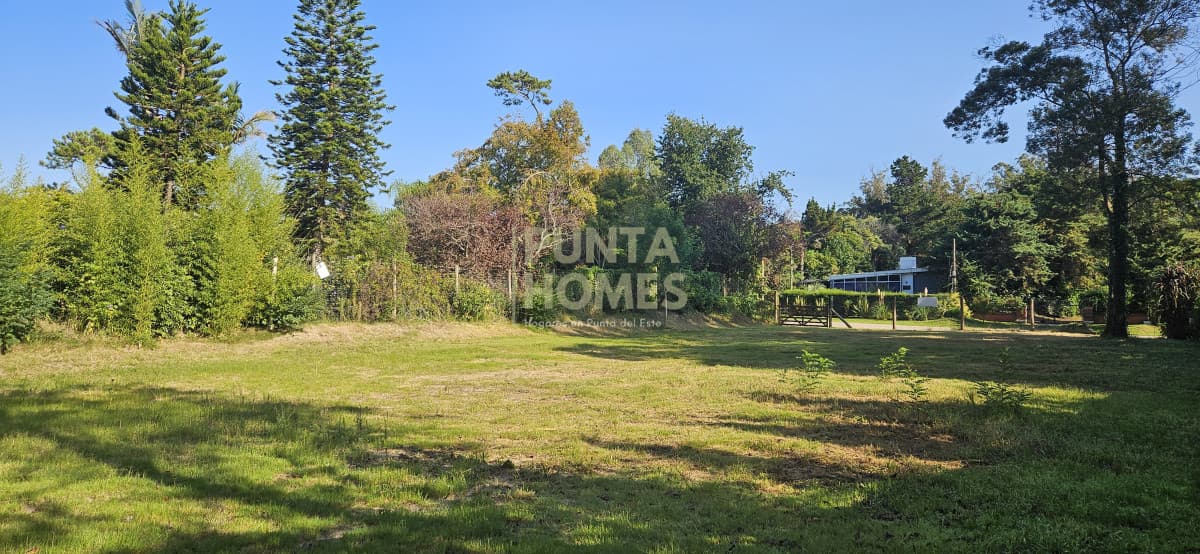 Punta Homes Inmobiliaria Terreno ID.3826 - Venta de Terreno 1100m2 en Punta del Este. Ideal casa familiar.