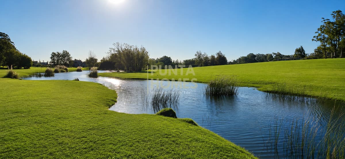 Punta Homes Inmobiliaria Terreno ID.3959 - Venta de Terreno 5000 m2 en la Barra, El Quijote, Punta del Este.