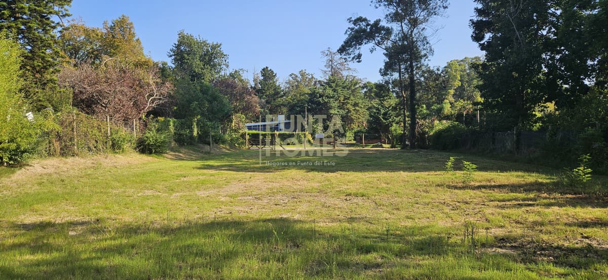 Punta Homes Inmobiliaria Terreno ID.3826 - Venta de Terreno 1100m2 en Punta del Este. Ideal casa familiar.