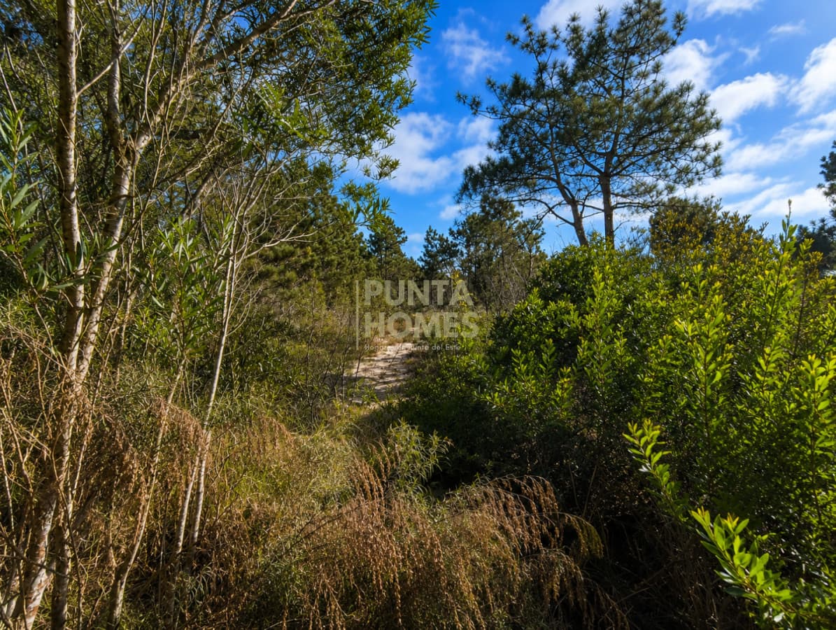 Punta Homes Inmobiliaria Terreno ID.3955 - Venta de terrenos en Santa Isabel de La Pedrera, Rocha.