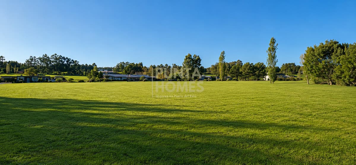 Punta Homes Inmobiliaria Terreno ID.3959 - Venta de Terreno 5000 m2 en la Barra, El Quijote, Punta del Este.