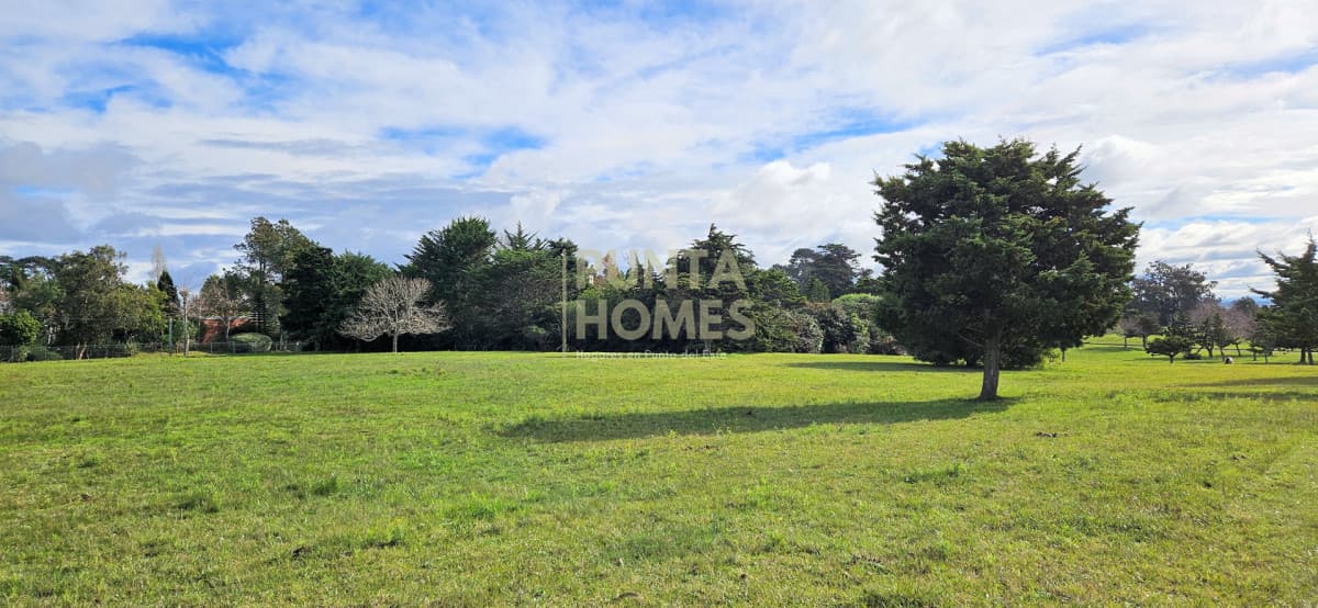Punta Homes Inmobiliaria Terreno ID.3933 - Venta de 3 terrenos en Pedragosa Sierra, Punta del Este