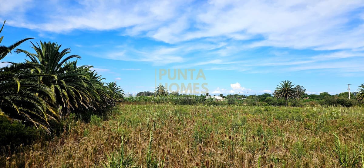 Punta Homes Inmobiliaria Terreno ID.3823 - Venta de Terreno de 10.800 m² en Rocha  - Ubicación Estratégica en Ruta 9