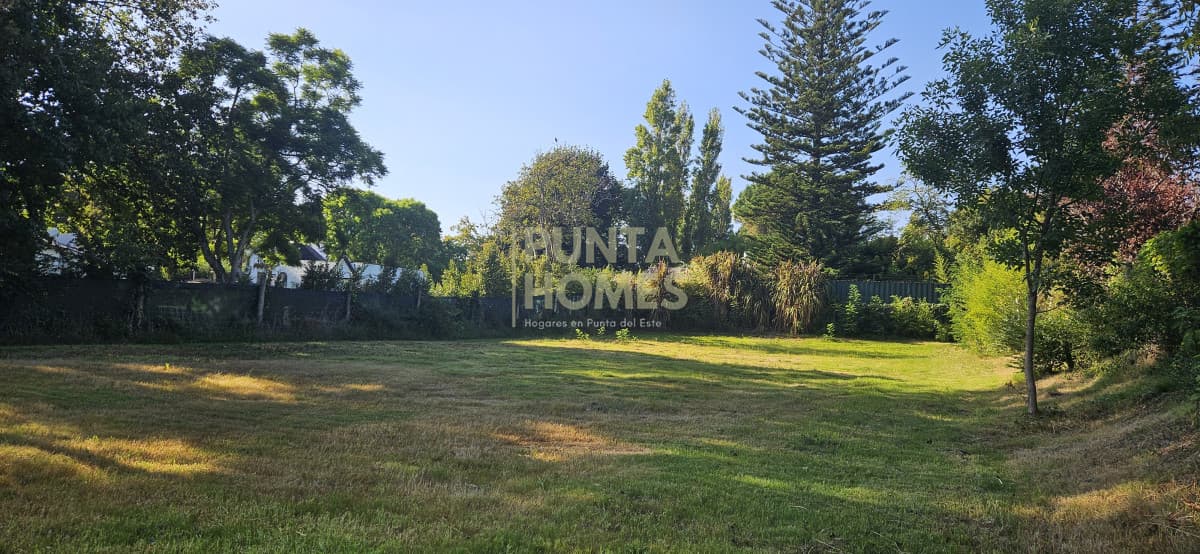 Punta Homes Inmobiliaria Terreno ID.3826 - Venta de Terreno 1100m2 en Punta del Este. Ideal casa familiar.