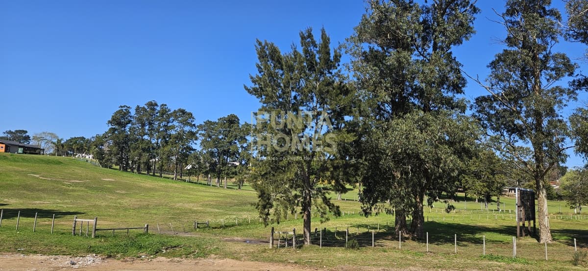 Punta Homes Inmobiliaria Terreno ID.3793 - - Para Proyecto - Venta de Terrenos frente a Club de Golf de Punta del Este.