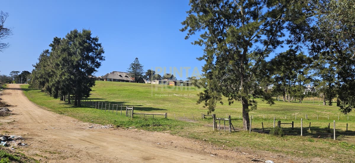 Punta Homes Inmobiliaria Terreno ID.3905 - Venta de terrenos desde 1100 m2 en Barrio Golf de Punta del Este.