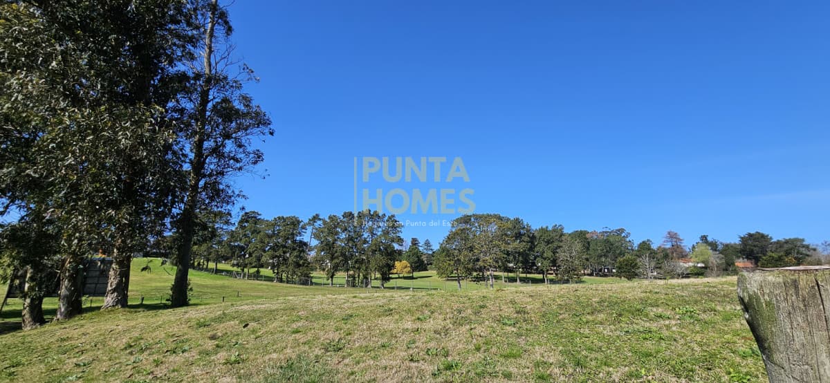 Punta Homes Inmobiliaria Terreno ID.3905 - Venta de terrenos desde 1100 m2 en Barrio Golf de Punta del Este.
