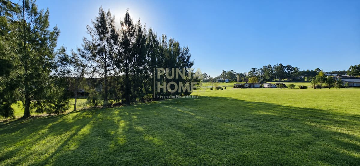 Punta Homes Inmobiliaria Terreno ID.3959 - Venta de Terreno 5000 m2 en la Barra, El Quijote, Punta del Este.