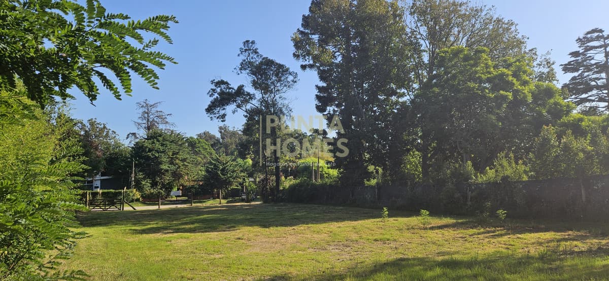 Punta Homes Inmobiliaria Terreno ID.3826 - Venta de Terreno 1100m2 en Punta del Este. Ideal casa familiar.